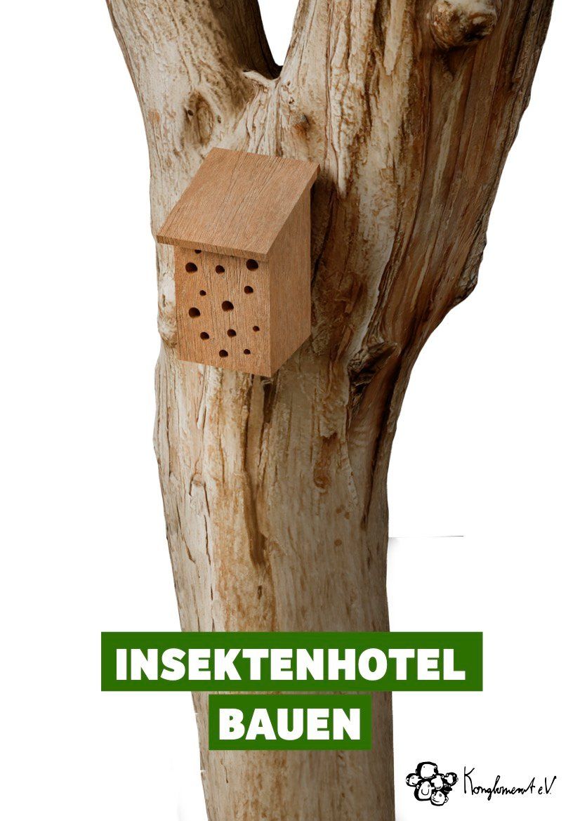 Insektenhotel